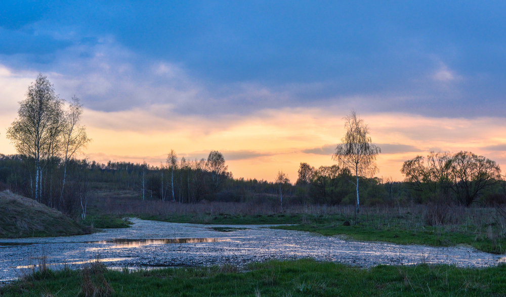 Photo 29968220
