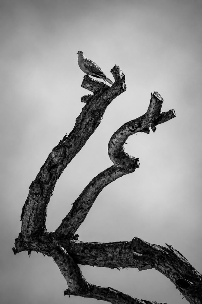Photo 29969304