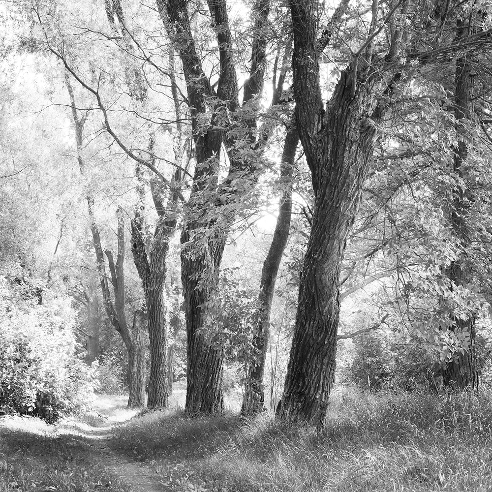 Photo 29969340