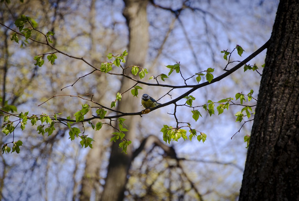 Photo 29969432