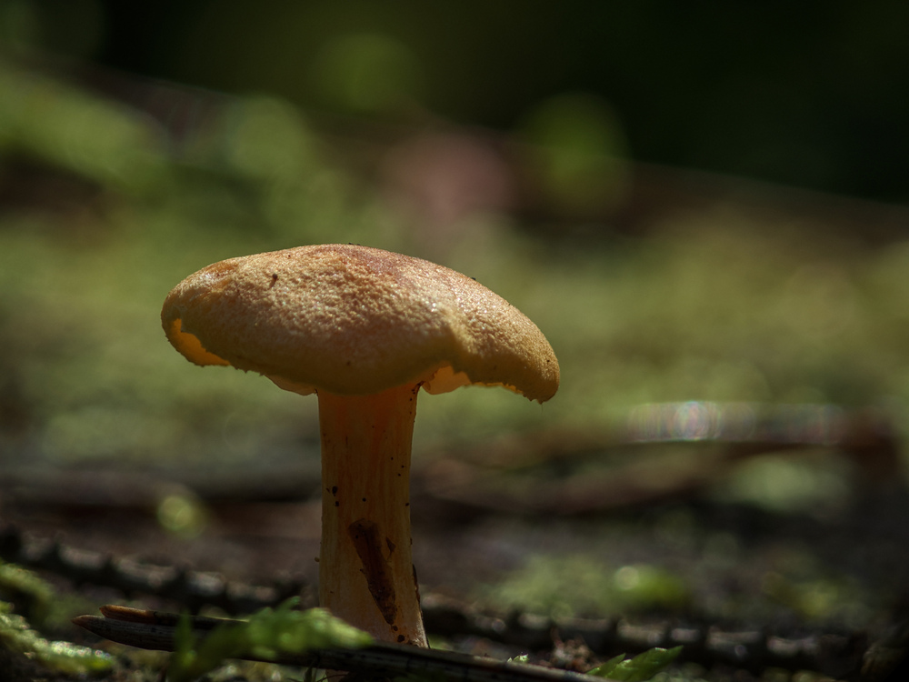 Photo 29969471
