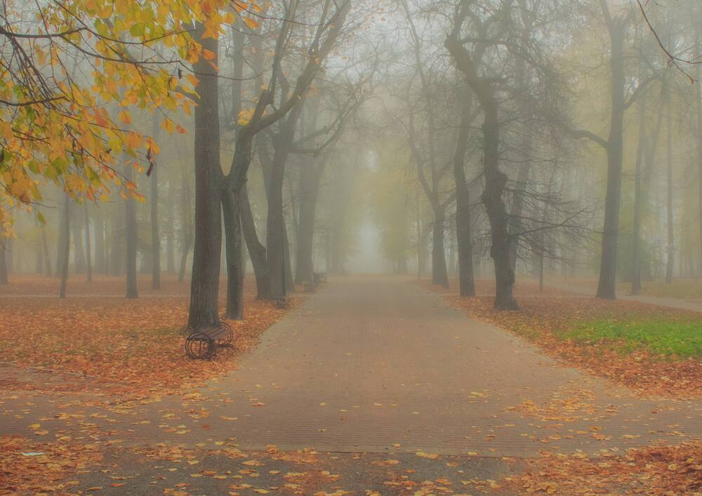 Земля Калужская на фотографиях