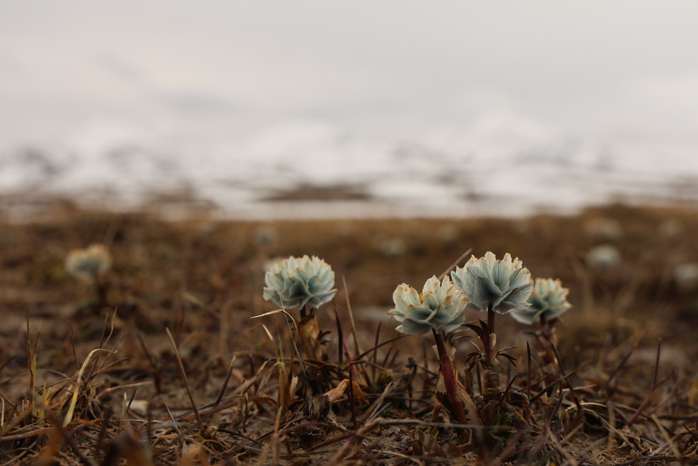 Photo 29969701