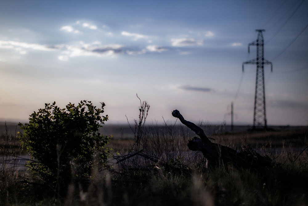 Photo 29969780