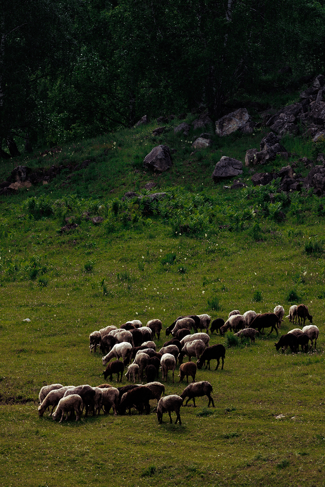 Photo 29969782