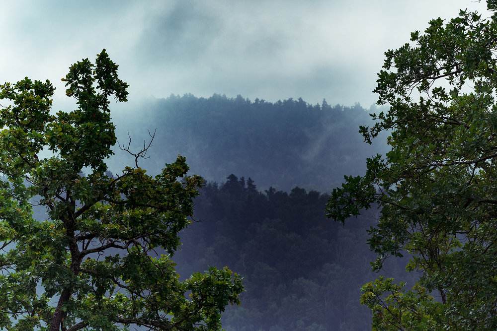 Photo 29969788