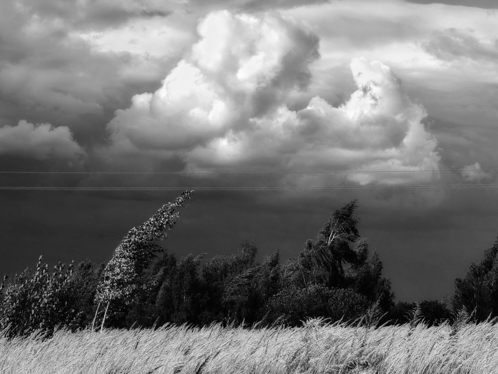Photo 29970199