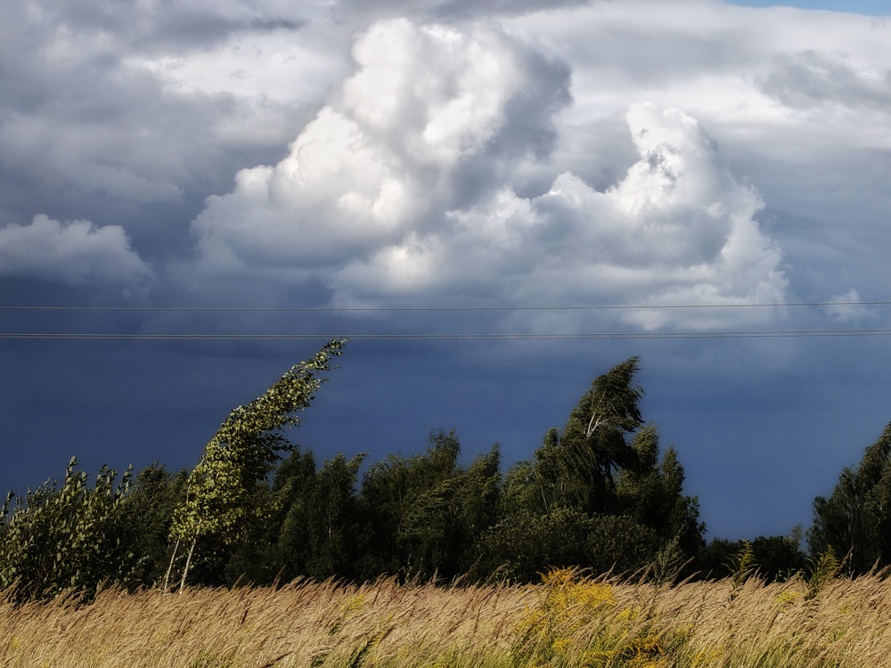 Photo 29970200