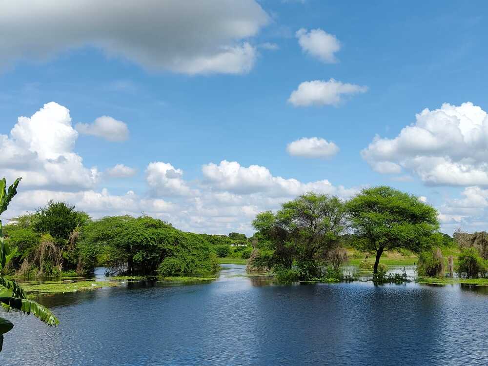 Unique and different creativity of nature at it\'s own pace