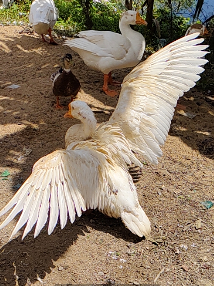 Unique and different creativity of nature at it\'s own pace