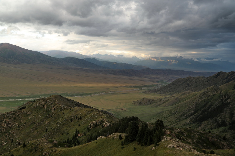 Photo 29970278