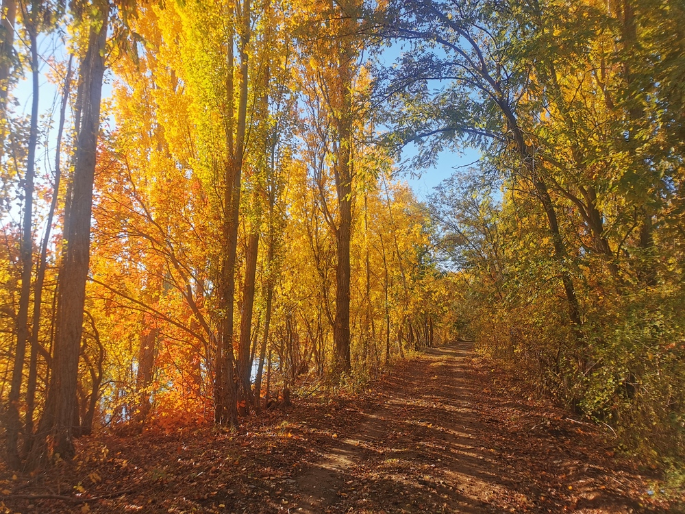 Photo 29970489