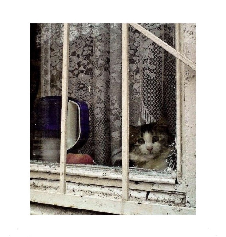 Photo 29970522