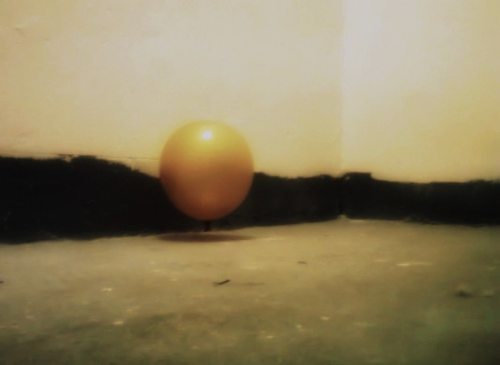 Photo 29970523