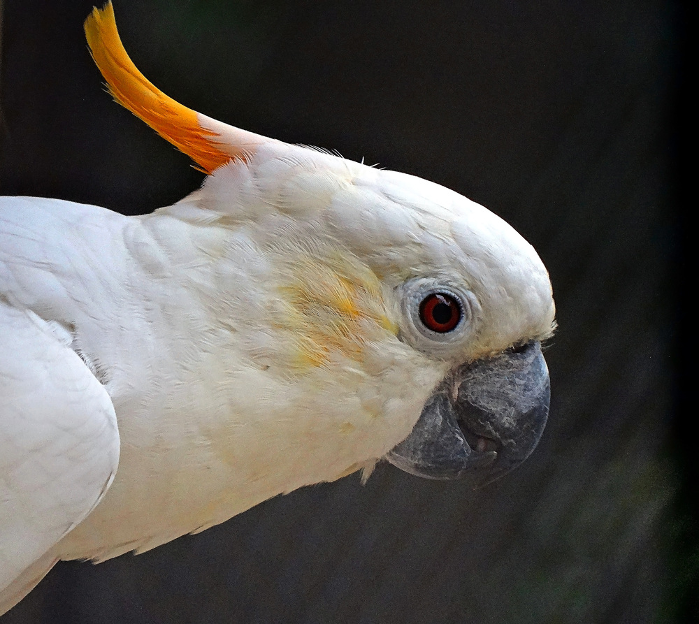 Photo 29970557
