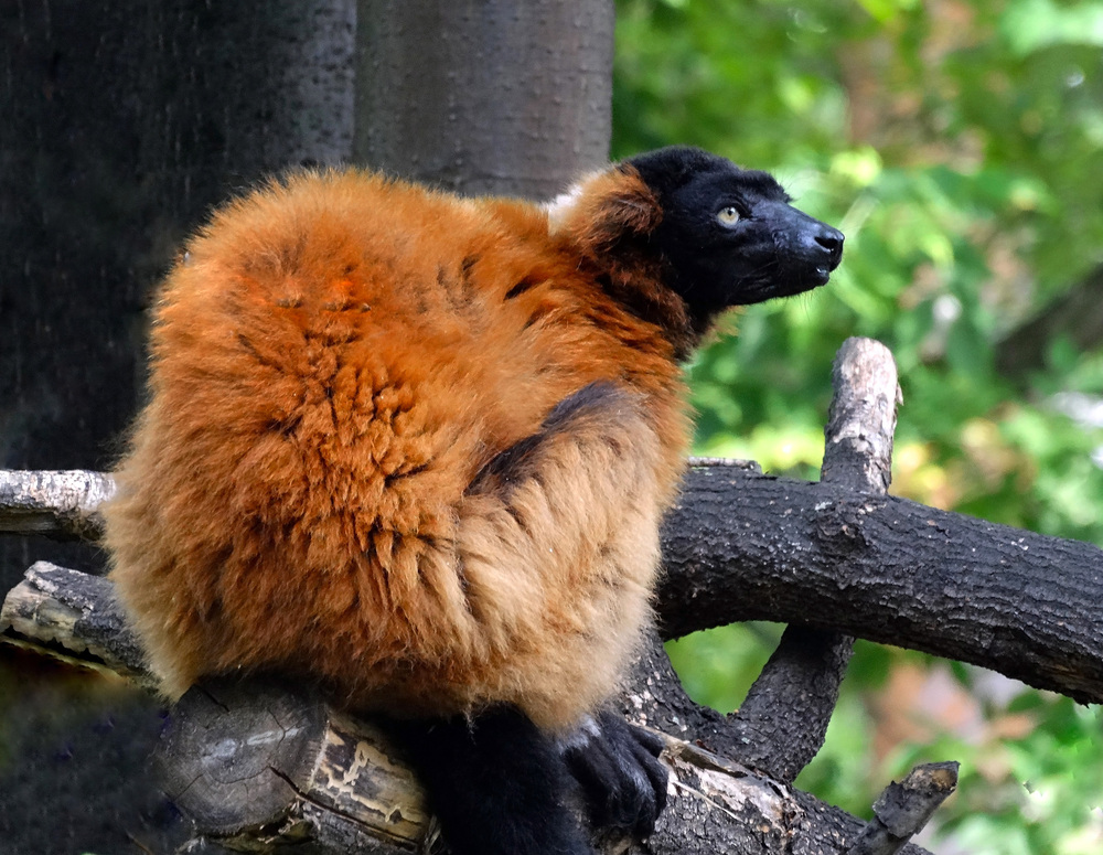 Photo 29970558
