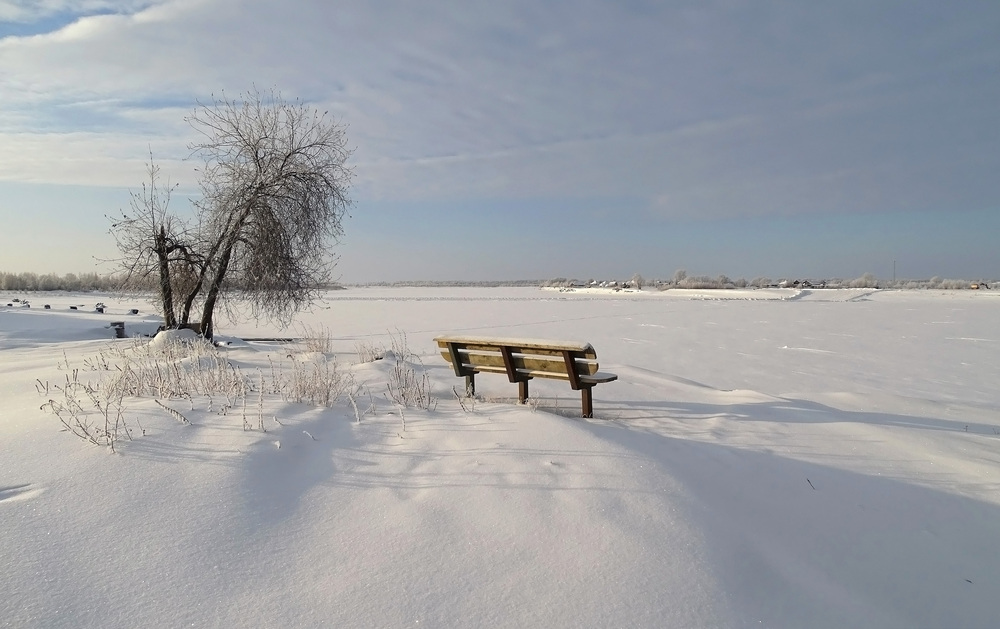 Photo 29970559
