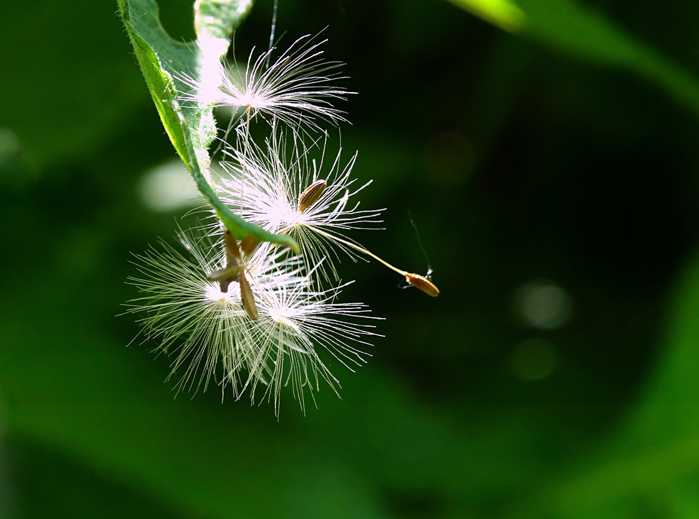 Photo 29970565