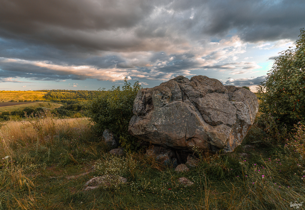 Конь-Камень. Ефремовский район.