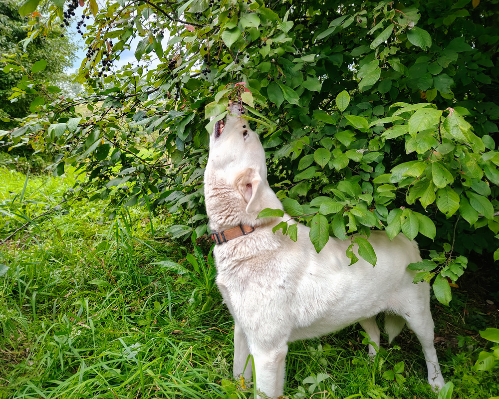 Photo 29970967