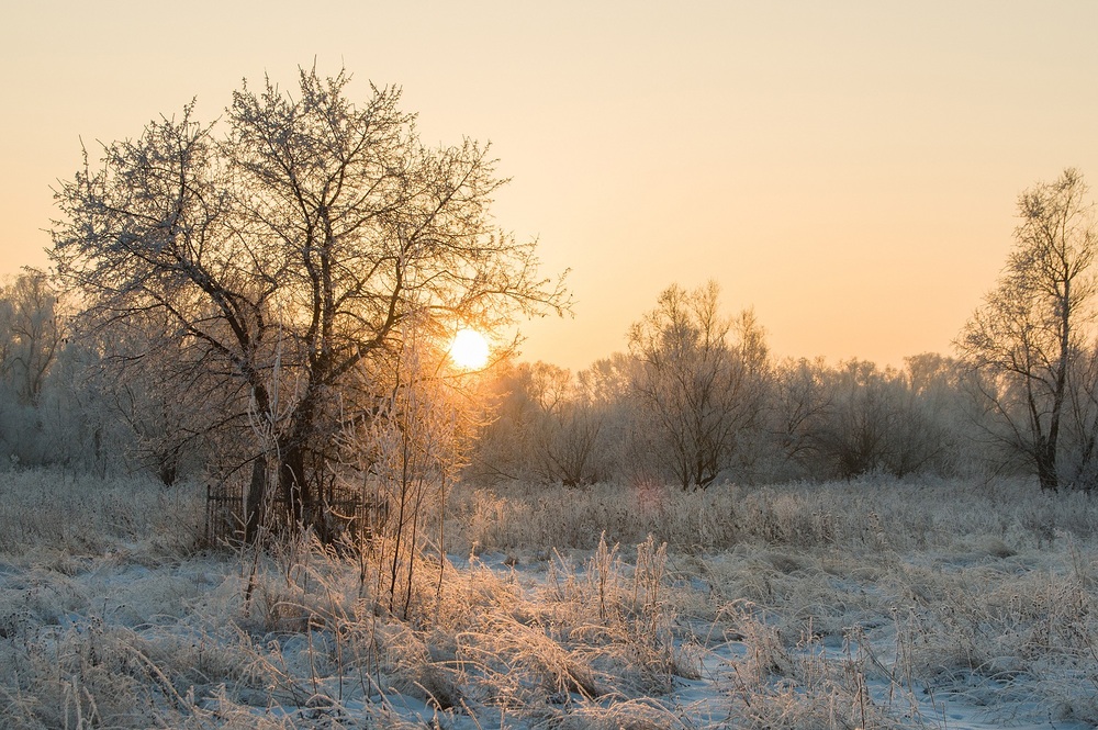 Photo 29970969
