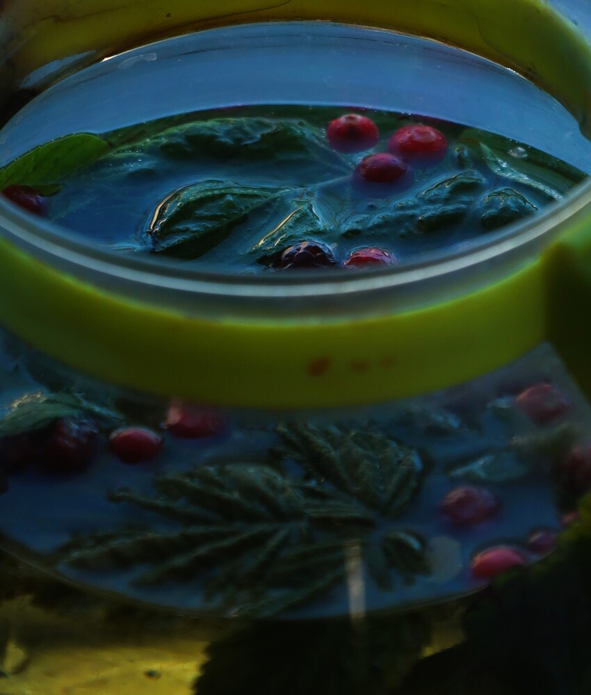 10 фокусов внимания