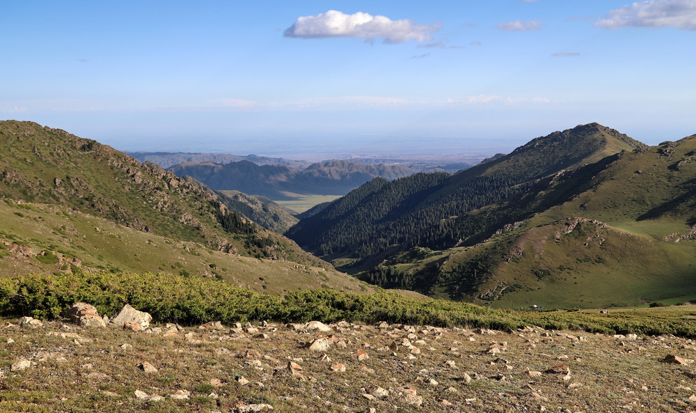Photo 29971098