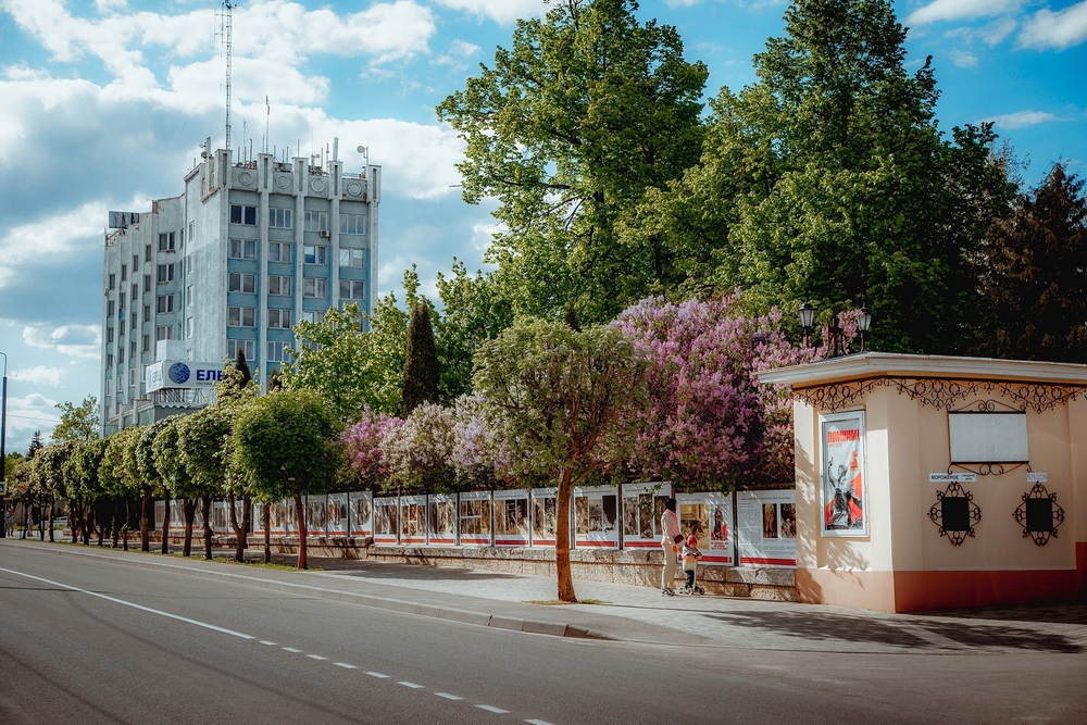 Елец