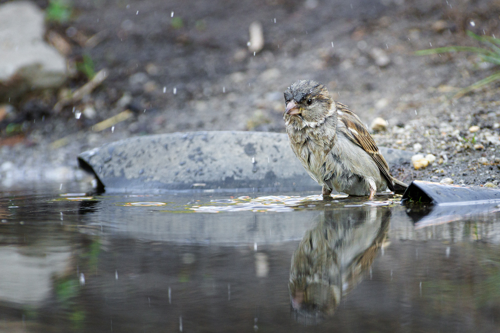 Водные процедуры.
