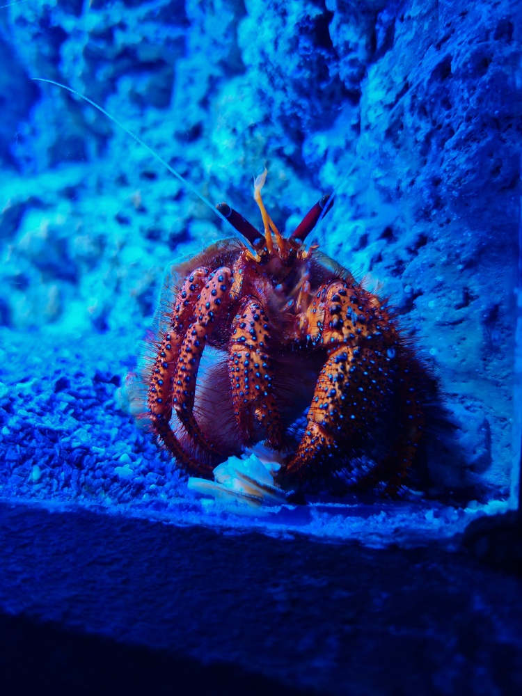 Photo 29971697