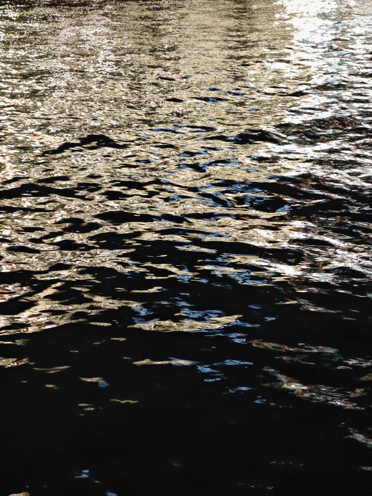 Photo 29971700