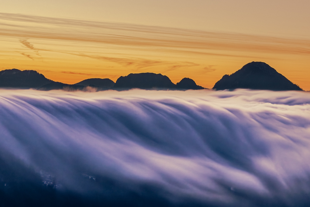 Nature in Light, Silence and Motion