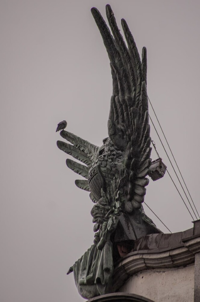 Photo 29971884