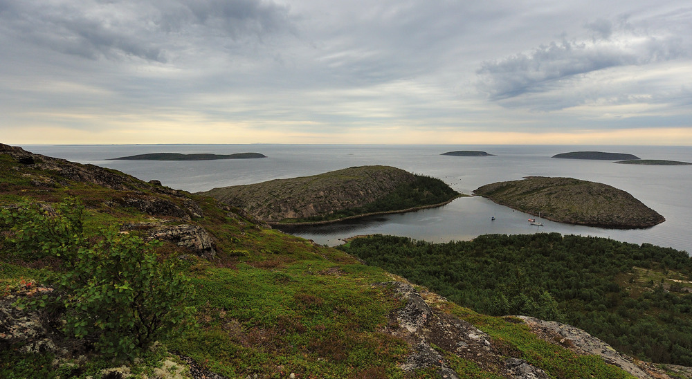 Белое море, Кузова