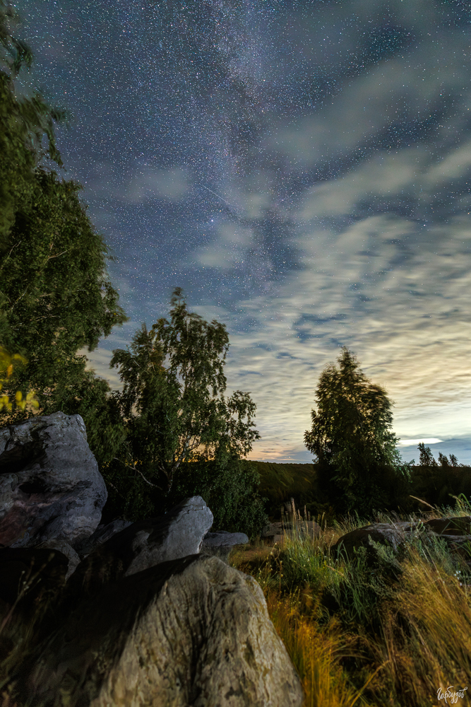 Ведьмины камни. Красногорье, Тульская область.