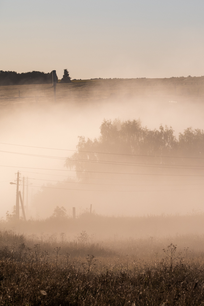 Portfolio vasilevich848 2026-08-29
