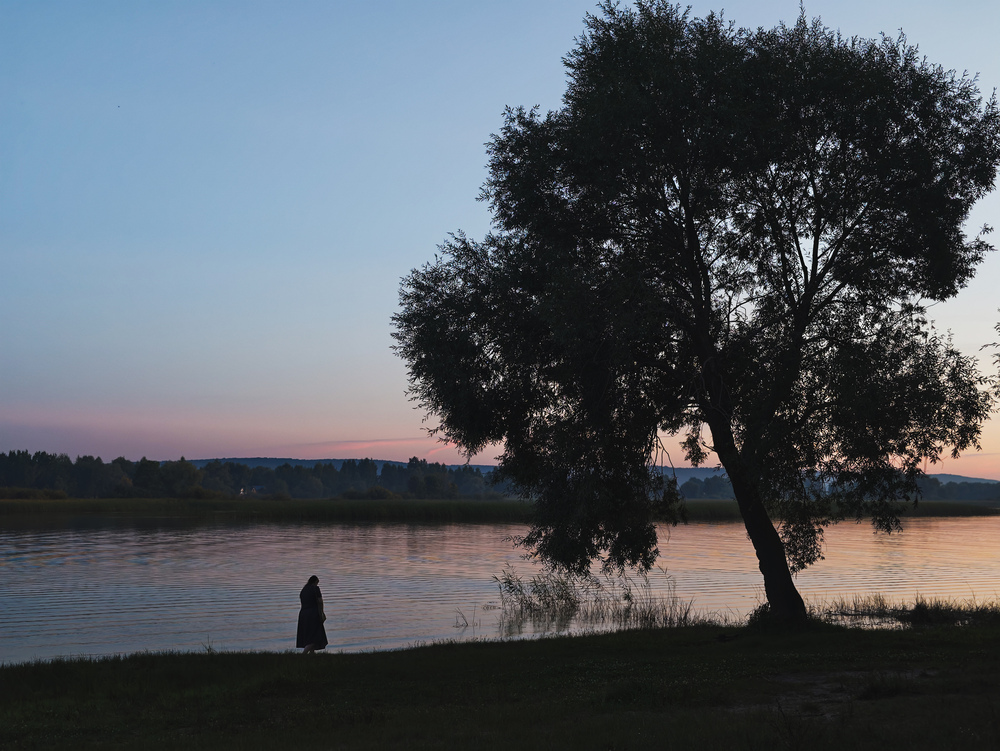 Portfolio vasilevich848 2026-08-29