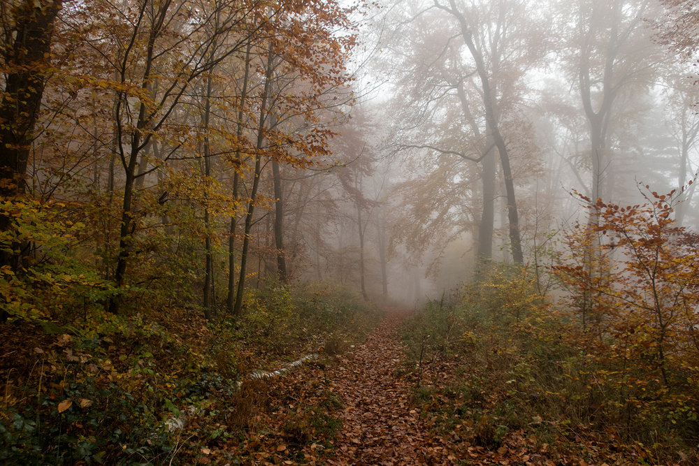 Portfolio id25076984 2026-08-31