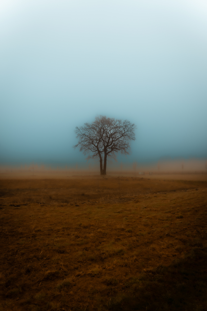 Portfolio sergeygrin8 2026-08-31