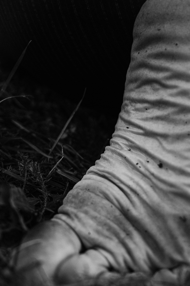 Photo 29975677
