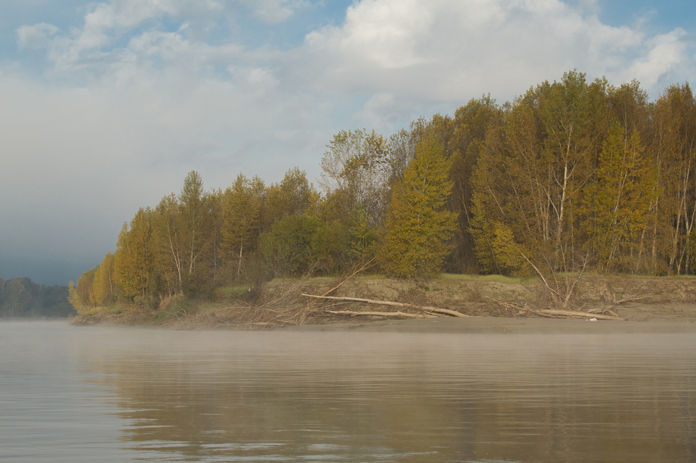 Осеннее утро на любимой реке
