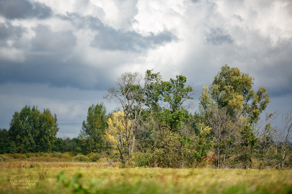 Photo 29976161