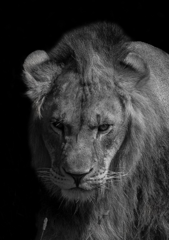 Portfolio andreykul 2026-09-05