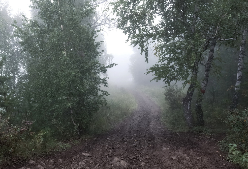 Туманы Торгашинского хребта