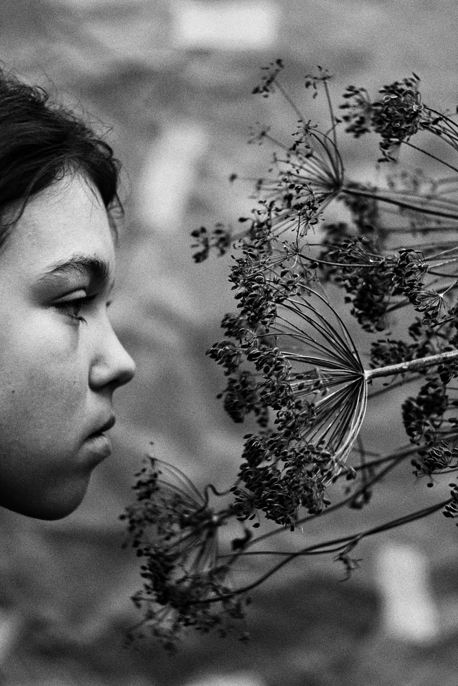 Portfolio shuramoto 2026-09-09