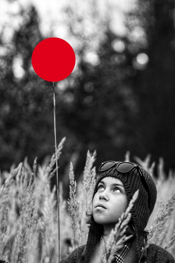 Portfolio shuramoto 2026-09-09