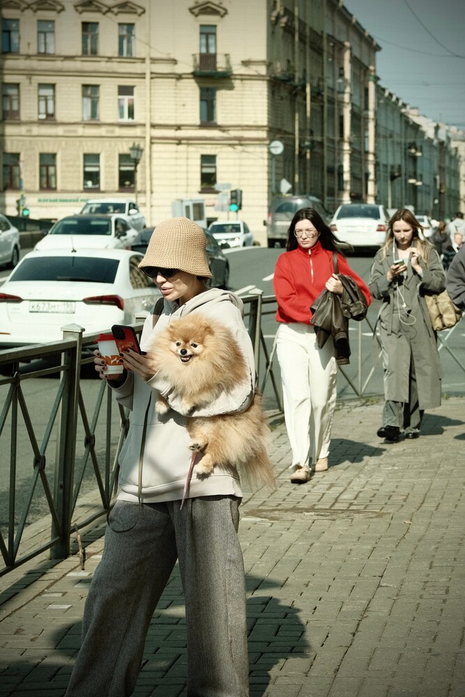 Portfolio amirdvil 2026-09-11