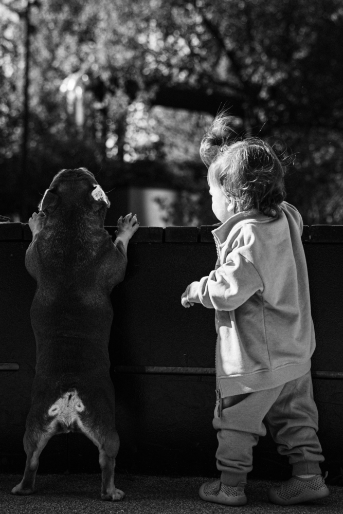 Photo 29978656