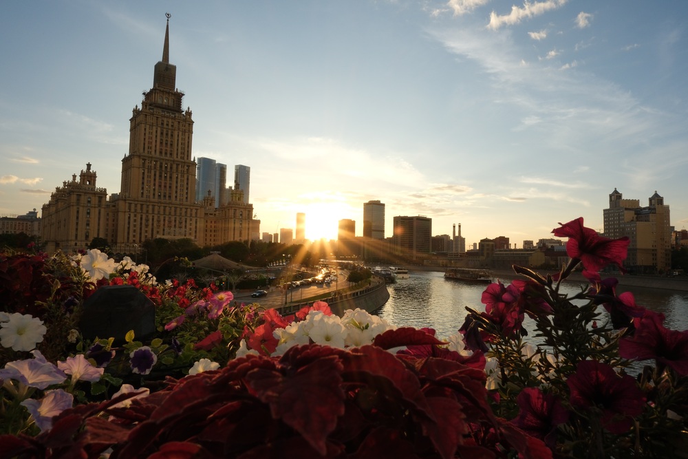 Portfolio oleg916 2026-09-13