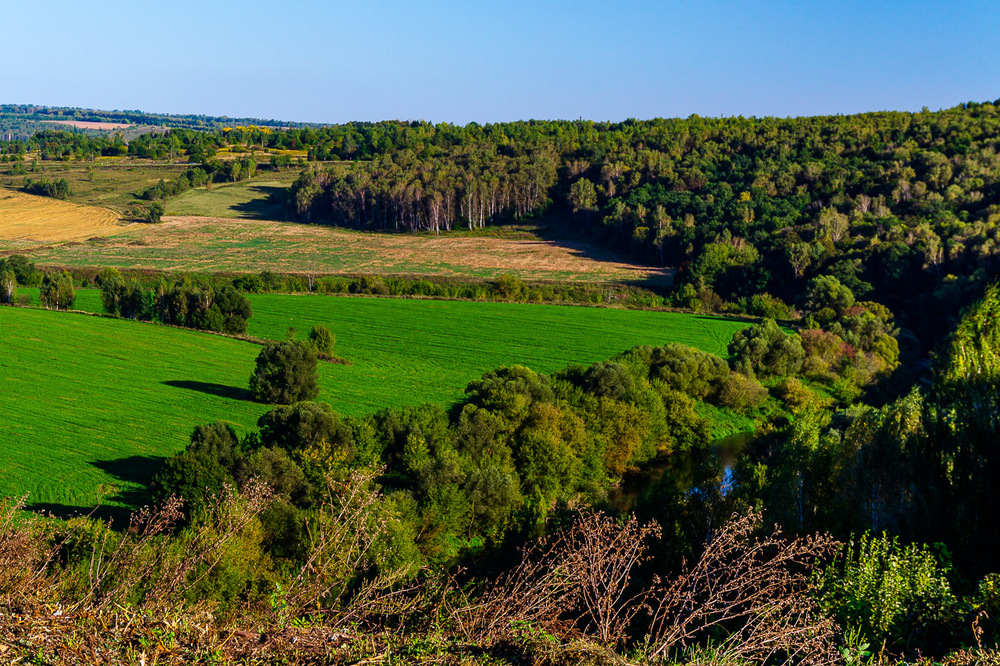 Усадьба генерала Мирковича.